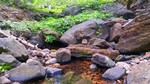 photo thumbnail #5