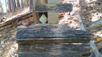 photo thumbnail #13