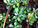 photo thumbnail #2