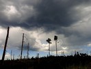 photo thumbnail #14