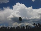 photo thumbnail #15