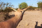 photo thumbnail #3