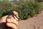 photo thumbnail #4