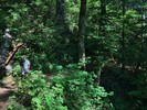 photo thumbnail #1