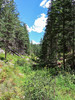 photo thumbnail #8