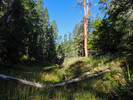 photo thumbnail #3