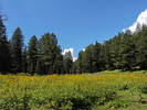 photo thumbnail #11