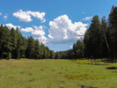 photo thumbnail #12