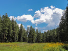 photo thumbnail #13