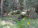 photo thumbnail #14
