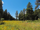 photo thumbnail #15