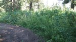 photo thumbnail #7