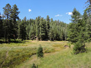 photo thumbnail #10