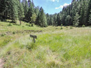 photo thumbnail #12