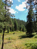 photo thumbnail #14