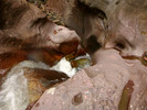 photo thumbnail #12