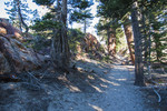 photo thumbnail #8