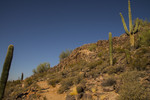 photo thumbnail #8