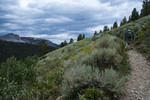 photo thumbnail #4