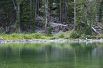 photo thumbnail #10