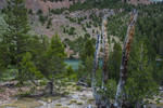 photo thumbnail #13
