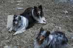 photo thumbnail #14