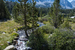 photo thumbnail #7