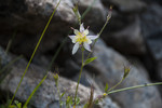 photo thumbnail #14