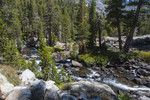 photo thumbnail #15