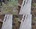 photo thumbnail #5