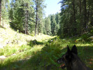 photo thumbnail #5