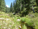 photo thumbnail #13