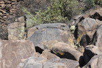 photo thumbnail #11