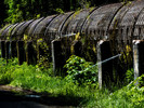 photo thumbnail #1