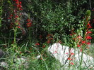 photo thumbnail #7