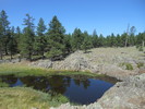 photo thumbnail #3