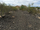 photo thumbnail #2
