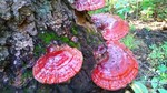 photo thumbnail #6