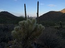 photo thumbnail #2