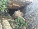 photo thumbnail #8