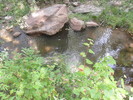 photo thumbnail #13