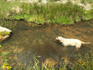 photo thumbnail #9