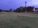 photo thumbnail #1