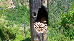 photo thumbnail #2