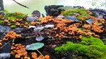 photo thumbnail #9