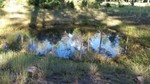 photo thumbnail #14