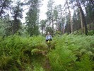 photo thumbnail #8