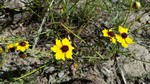 photo thumbnail #15