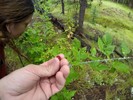 photo thumbnail #13