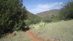 photo thumbnail #7
